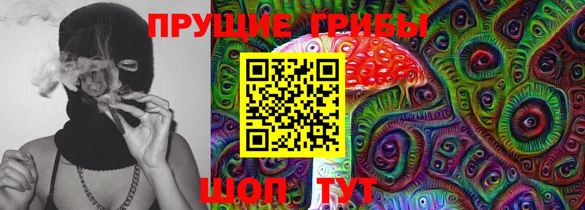Галлюциногенные грибы Cubensis  Вход с VPN  Волхов 